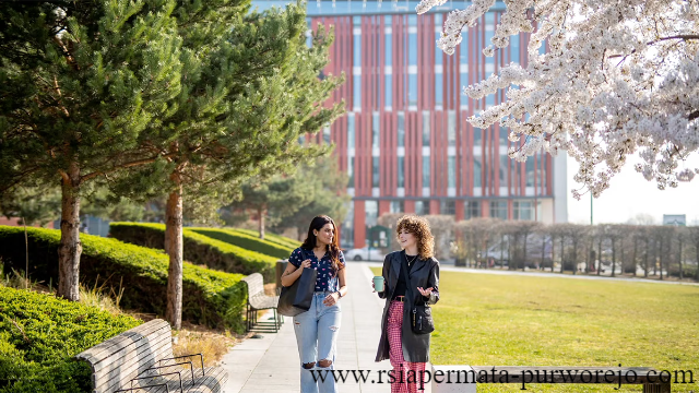 Penjelasan Beasiswa S1 Kuliah di University Kyungsung